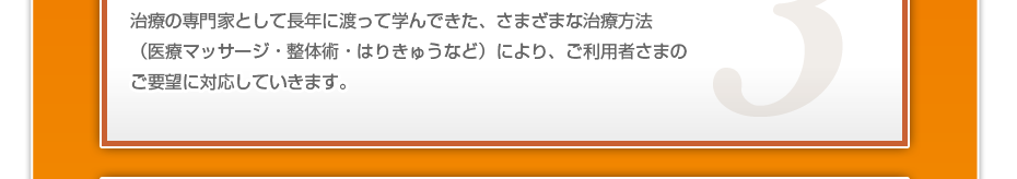 治療の専門家として長年に渡って学んできた、さまざまな治療方法(医療マッサージ・整体術・はりきゅうなど)により、ご利用者さまのご要望に対応していきます。